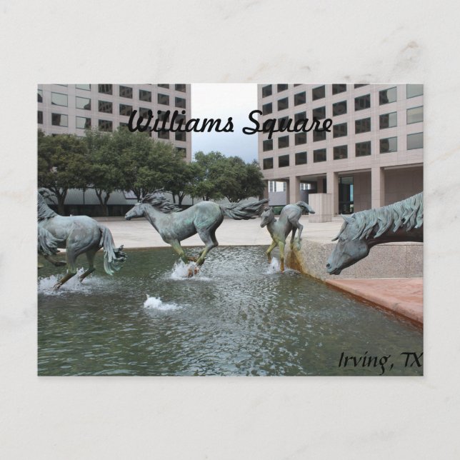 Mustangs of Las Colinas # 3 Vykort (Framsida)