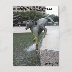 Mustangs of Las Colinas # 7 Vykort