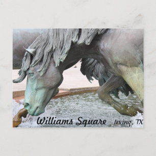 Mustangs of Las Colinas # 8 Vykort