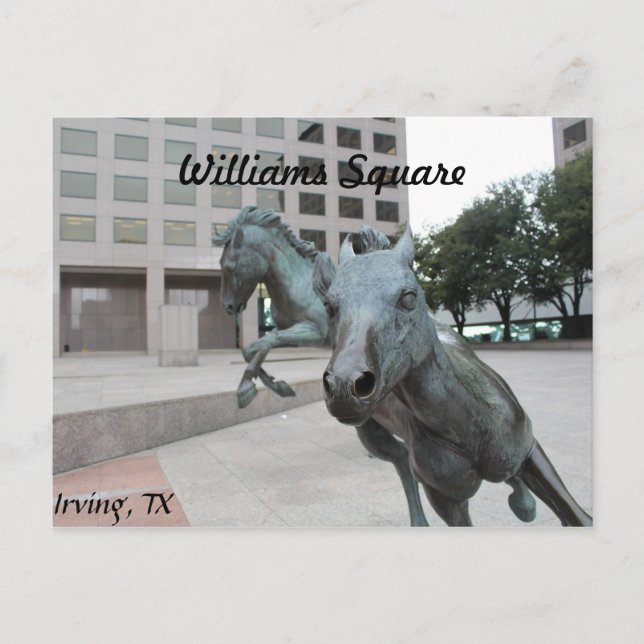 Mustangs of Las Colinas # 9 Vykort (Framsida)