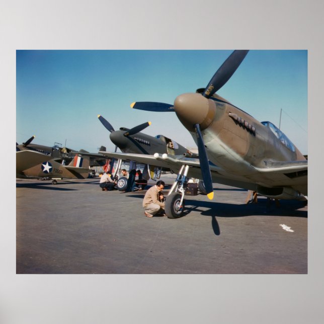 Mustangs P-51 Poster (Framsidan)