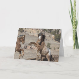 Mustangs Sparring: Galloping to Freedom Hälsning Kort