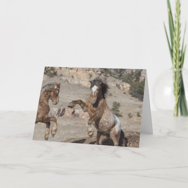 Mustangs Sparring: Galloping to Freedom Hälsning Kort (Framsida)