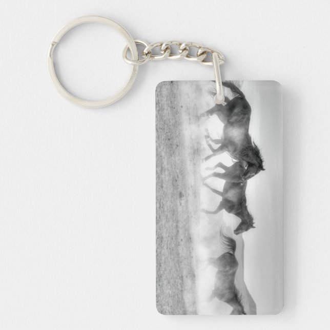 Mustangspringa (Framsidan)