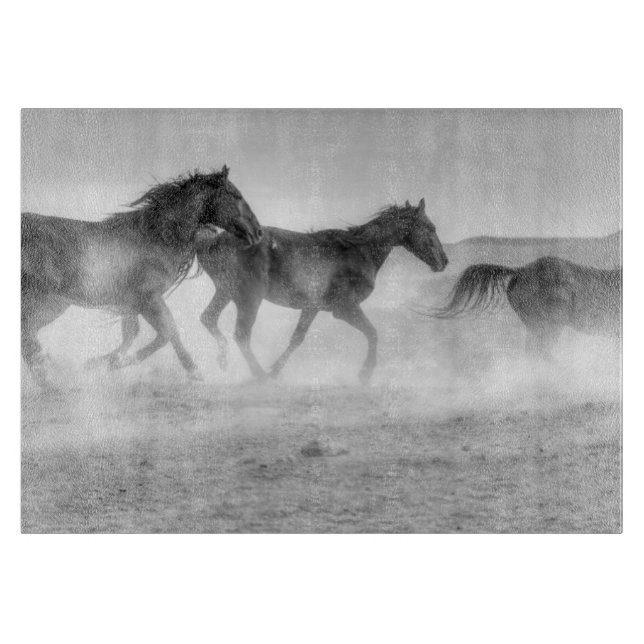 Mustangspringa (Framsidan)