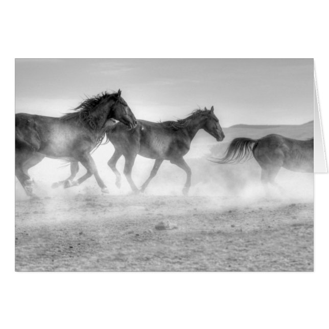 Mustangspringa Hälsningskort (Framsidan Horizontal)