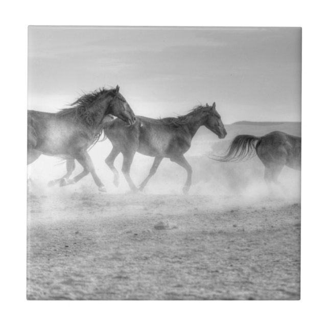 Mustangspringa Kakelplatta (Framsidan)