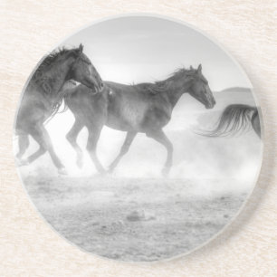 Mustangspringa Underlägg