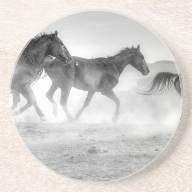 Mustangspringa Underlägg (Framsidan)