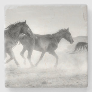 Mustangspringa Underlägg Sten