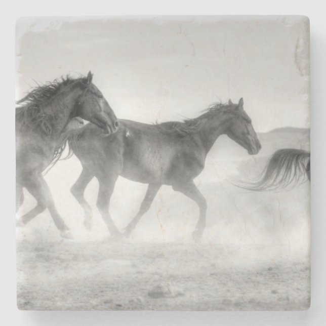 Mustangspringa Underlägg Sten (Framsidan)