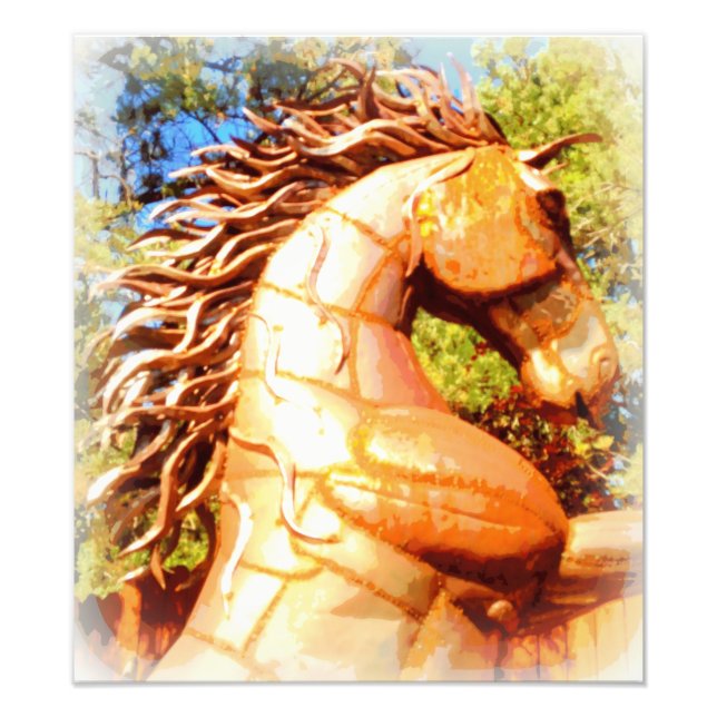 mustangstallion fototryck (Framsidan)