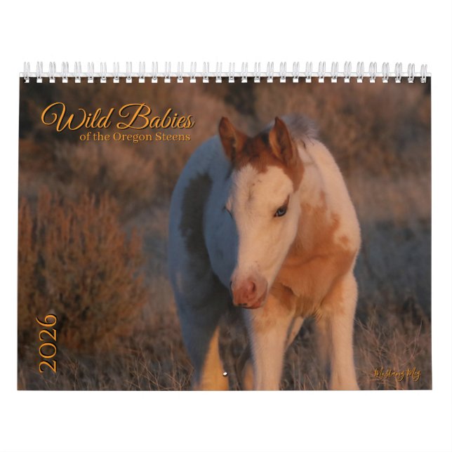 MustangWild 2026 "Wild Babies" Calendar Kalender (Omslag)
