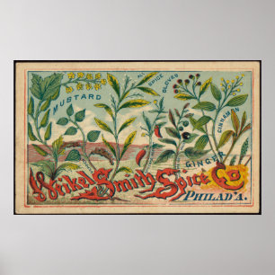Mustard, Chandskar, Cinnamon Spices-reklam Poster