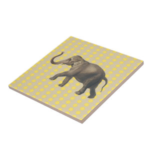 Mustard Spice Moods Dots med Elephant Kakelplatta