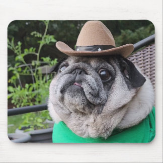 Mustynd för lantbrukare musmatta