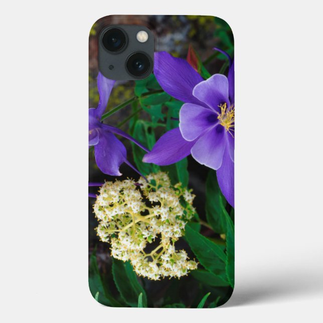 Mutant Akeleje Vildblommor (Baksida)