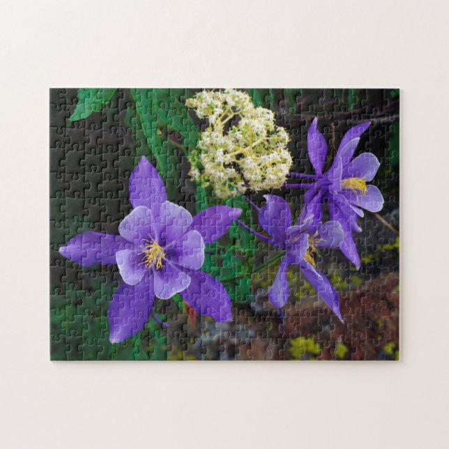 Mutanta akvilejavildblommor pussel (Horisontell)