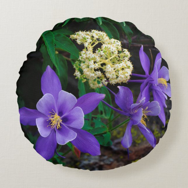 Mutanta akvilejavildblommor rund kudde (Framsidan)