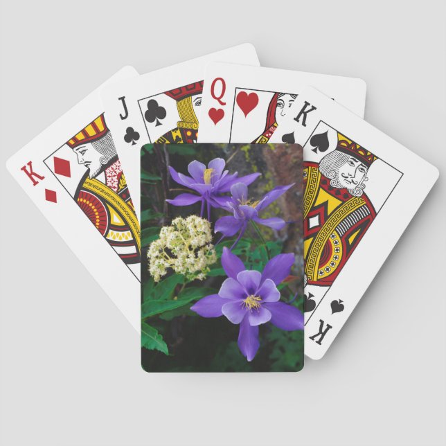 Mutanta akvilejavildblommor spel kort (Baksidan)