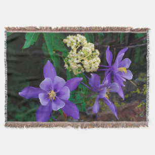 Mutanta akvilejor vildblommor mysfilt
