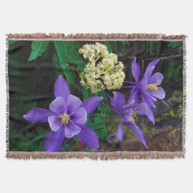 Mutanta akvilejor vildblommor mysfilt (Framsidan)