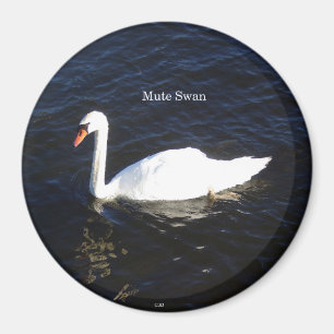 Mute Svan magnet