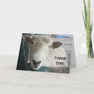 MUTTON MER ATT SÄGA - THANK EWE TACK KORT