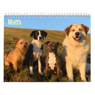 Mutts 2027 Väggkalender Kalender