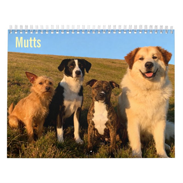 Mutts 2027 Väggkalender Kalender (Omslag)