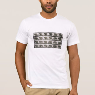 Muybridges elefanter tee