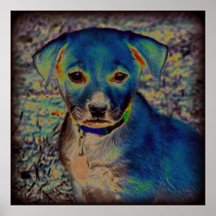 MVB Labrador Poster -Psykedelisk design