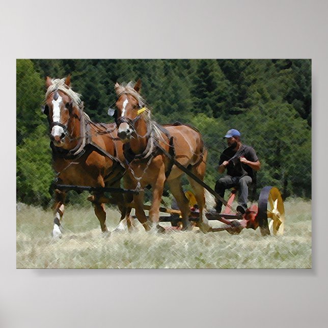 Mwing Hay Poster (Framsidan)