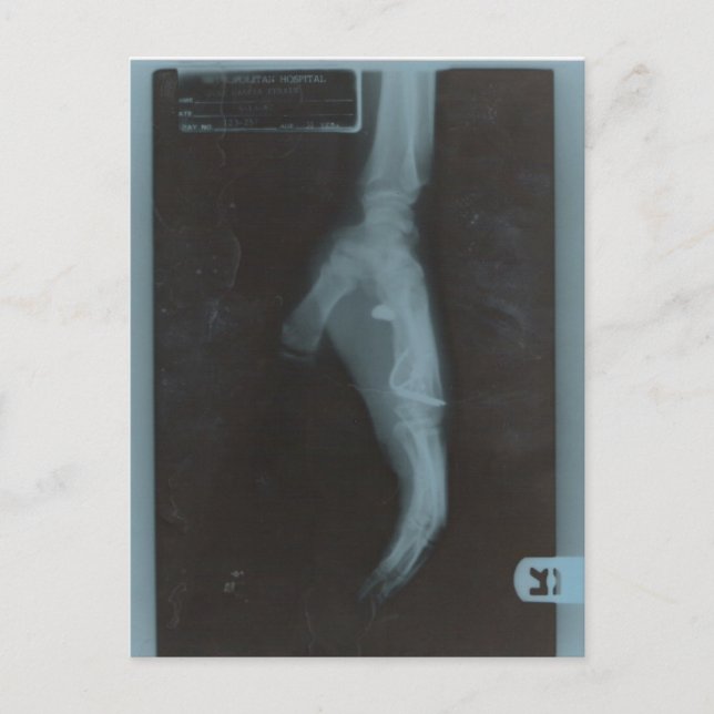 MY22BULLET VYKORT (Framsida)