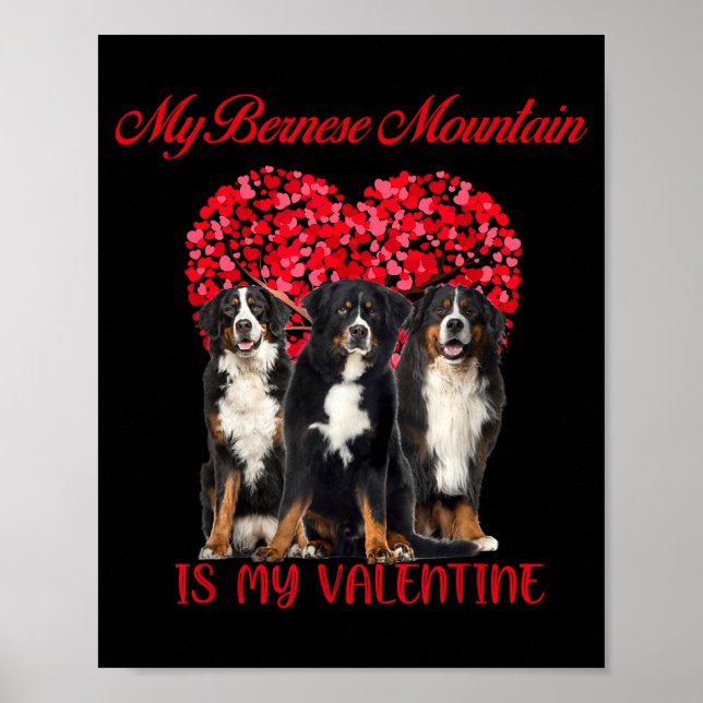 My Bernese Mountain Is My Valentine Dog Lover Vale Poster (Framsidan)