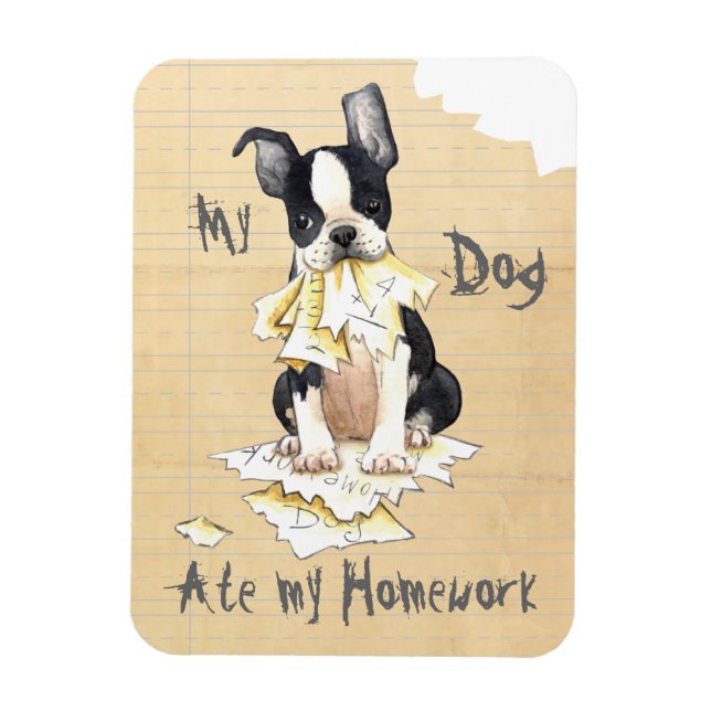 My Boston Terrier Ate Min hemläxa Magnet (Vertikal)