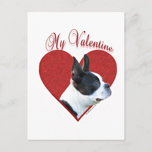My Boston Terrier Valentine Helg Vykort (Framsida)