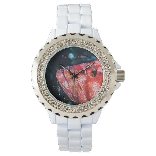 My Brest Friend, pretty fish and little shrimp Armbandsur (Framsida)