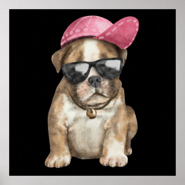 MY COOLA PET POSTER (Framsidan)