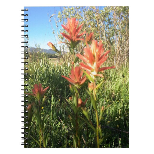 My Djävulen Paintbrush Anteckningsbok Med Spiral (Framsidan)