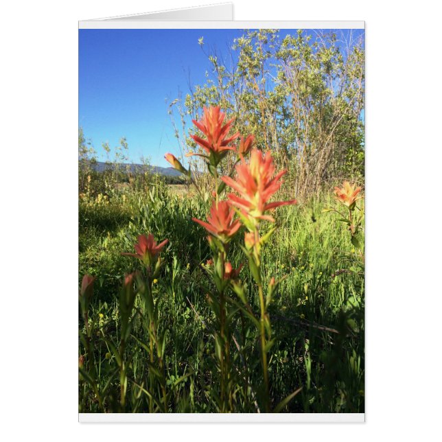 My Djävulen Paintbrush Hälsningskort (Framsidan)