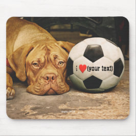 My dog loves soccer and I love my dog Musmatta