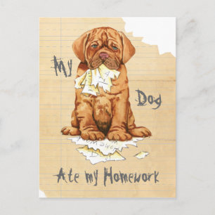 My Dogue de Bordeaux Ate My Homwork Vykort