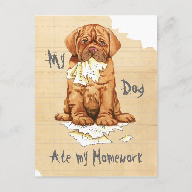 My Dogue de Bordeaux Ate My Homwork Vykort (Framsida)