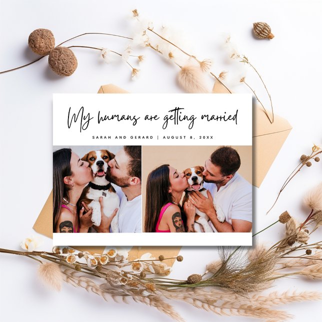 My Humans Hund Photo Bröllop spara datum Meddelande Vykort (My Humans Dog Photo Wedding Save the Date Announcement Postcard)