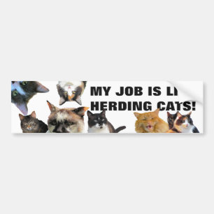 mY jobb ÄR likt samlas katter! Bildekal