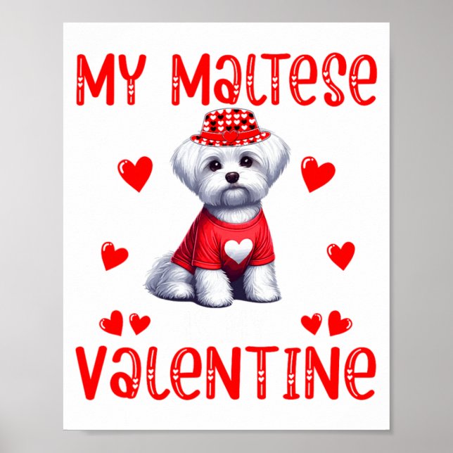 My Maltese Is My Valentine Hearts Costume Single O Poster (Framsidan)