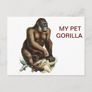 MY PET GORILLA VYKORT