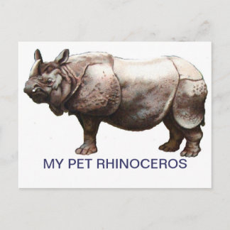 MY PET RHINOCEROS VYKORT