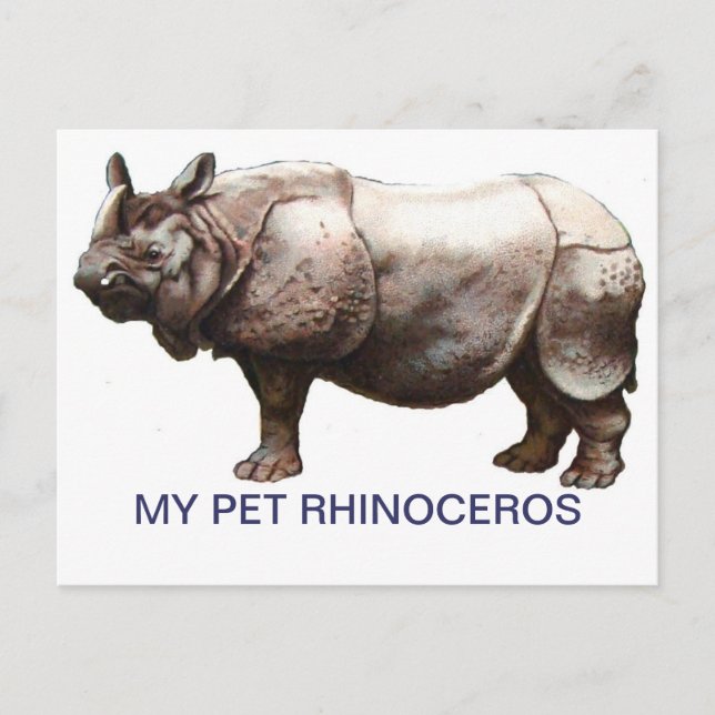MY PET RHINOCEROS VYKORT (Framsida)